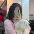 순미용실 | 부산 동네 미용실 히피펌 4개월차 후기