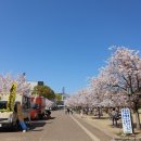 성산청과 이미지