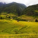 테라스풍경 이미지