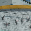 우리가 가꾸는 꽃길 이미지