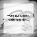 반려동물과함께하는#설렘 이미지