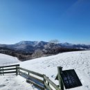 부엉이목장 이미지