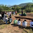 화제초등학교 이미지