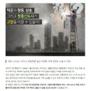 행신동 서정마을 택지지구 내 全 구간 | 고양시 아파트 일산,덕은지구,향동지구,삼송,창릉 앞으로??