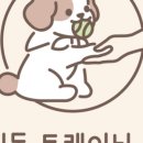 해피독 트레이닝스쿨 이미지