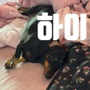 더(THE)드슈 | 부산신세계프리미엄아울렛점 l 부산 쌀국수맛집 추천 l 부산신세계프리미엄아울렛식당 내돈내산후기