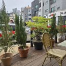 현대경양식 이미지