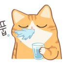 와일드 동물병원 이미지