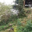 01-102 동구 이미지