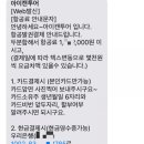 캔투어여행사 이미지