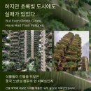 제일그린에너지