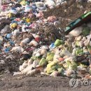 효자공원봉안당 이미지