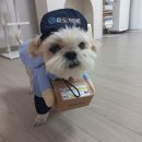 호진이네