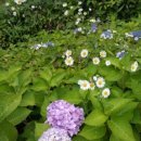 지양로152번길 이미지