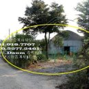 화정농장 이미지