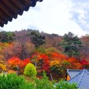 가을 단풍시기 및 전라북도 대표 명소 TOP 12
