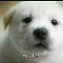 유비마켓주 이미지