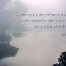 하늘살이