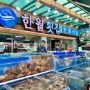 한월 | [남포동 맛집] 꼼장어 맛집 한월횟집 내돈내산 후기
