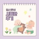 [임신준비] 동탄제일아이희망 시험관 1차 쌍둥이 임신성공 임신후기