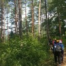 금강송민박 이미지