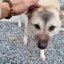 별이랑달이랑 이미지