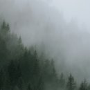 구천동한의원 이미지