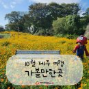 지금이 바로 제철~! 10월 제주 여행 필수 가볼만한곳