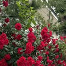 갤러리101식당 이미지