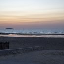 아일랜드리솜 이미지