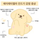 청소코끼리주식회사