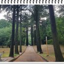 부천-오정-부천-6호 이미지