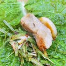 영신 석기시대 이미지