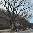 하화마을회관 이미지