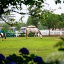 재호목장 이미지