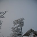 번개산행 : 덕유산 산행기(1월1일) 이미지