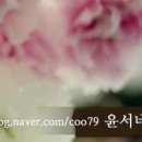 윤서네 해피하우스 이미지