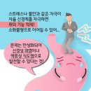 거북이한의원 이미지