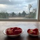 차고치는풍경 이미지