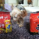 해비치동물병원 이미지