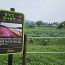 백제나루 영농조합법인 이미지