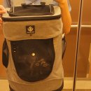 미소로동물병원 이미지