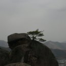 한재미나리와삼겹살거리 이미지