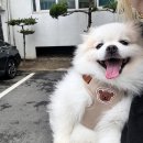 정남우체국 | 20240829-20240919