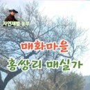 실원농장 네이버블로그