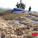 청주흥덕지구축구공원 이미지