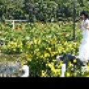 북천 양귀비꽃축제-가수 장현주- 가슴아프게, 카스바의 여인, 부산 갈매기 이미지