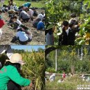 주문진초등학교삼덕분교장 이미지