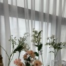 둔산아름다운사진 이미지