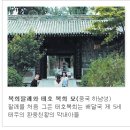 한민족에프씨 이미지